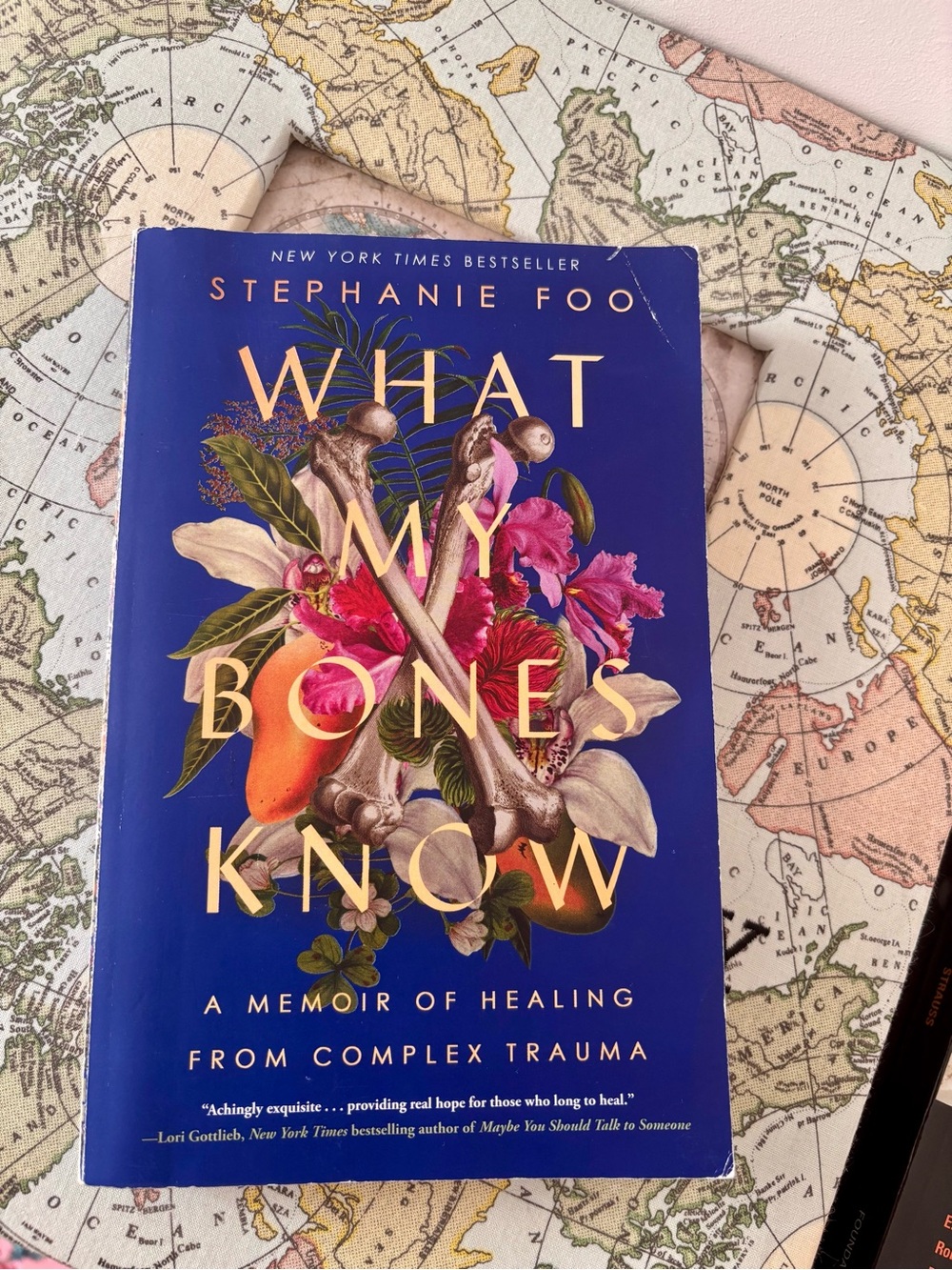 What My Bones Know by Stephanie Foo — Blue Paperback Memoir